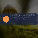 sunyvau.pro